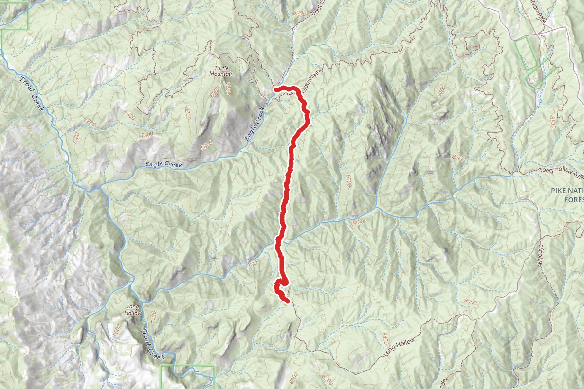 Long Hollow Trail