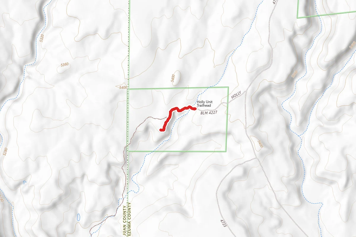 Holly Trail