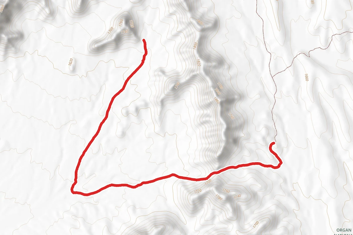 Lost Cabin Trail