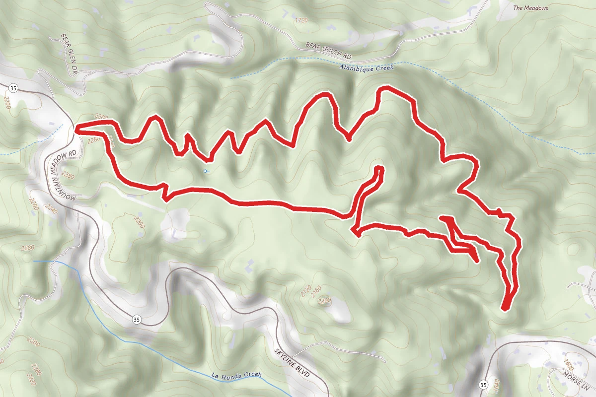 Alambique Trail to Skyline Trail Loop