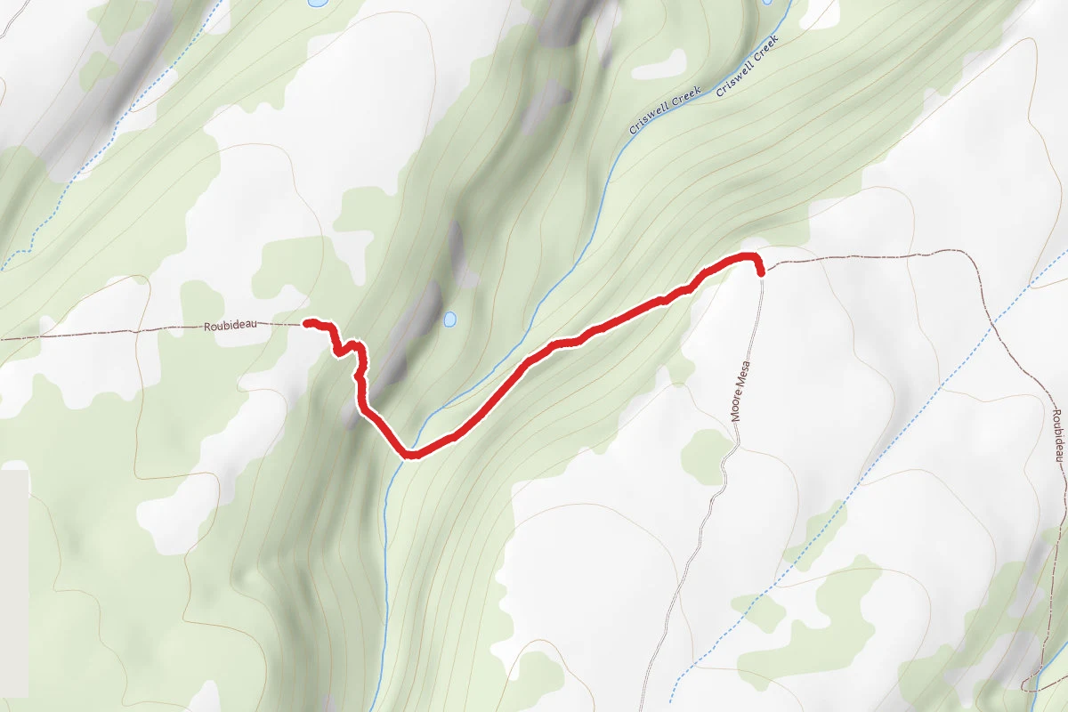 Roubideau Trail