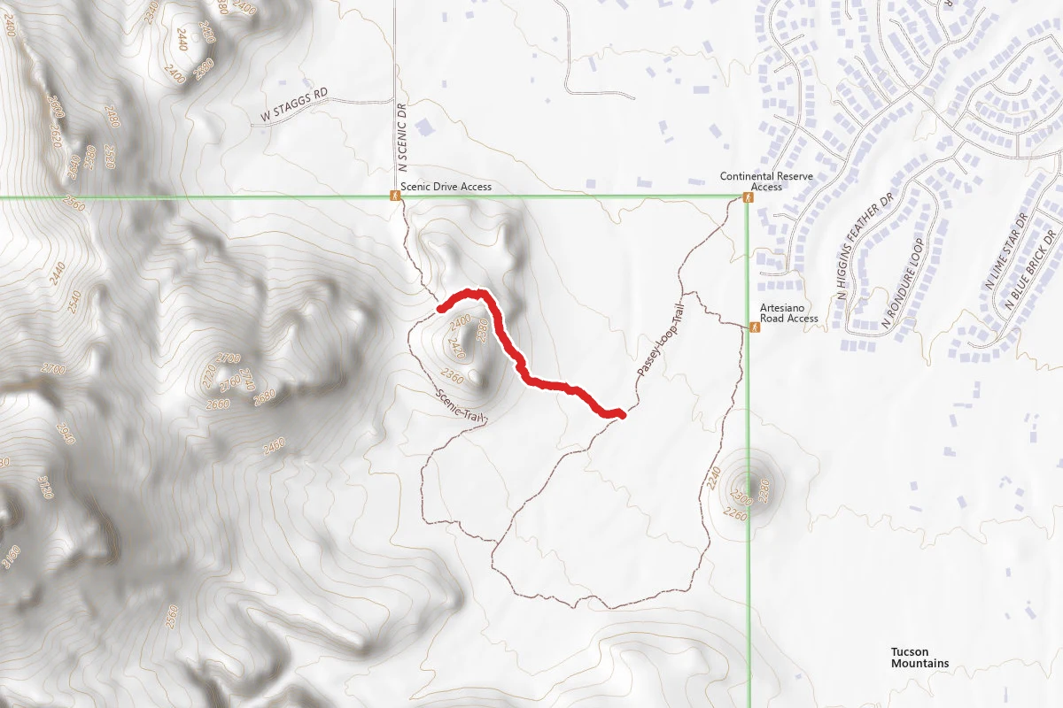 Packrat Trail