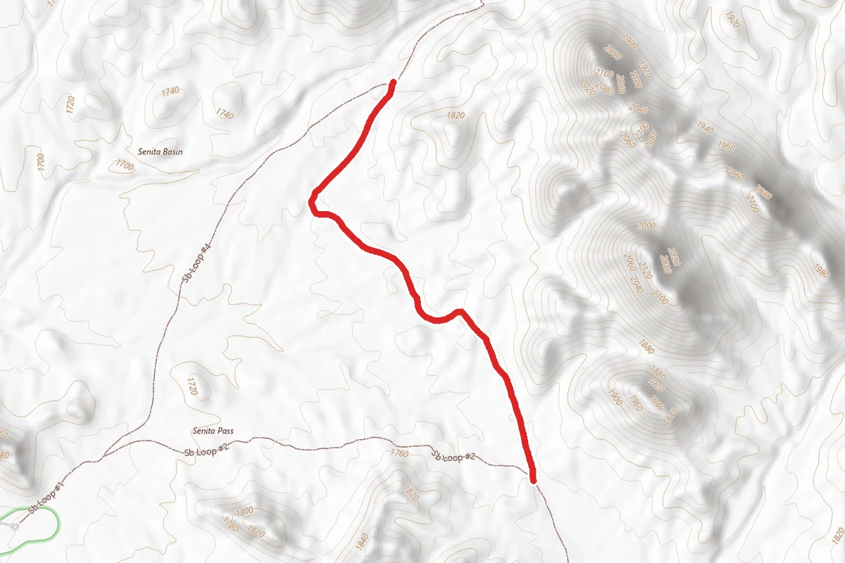 SB Loop #3