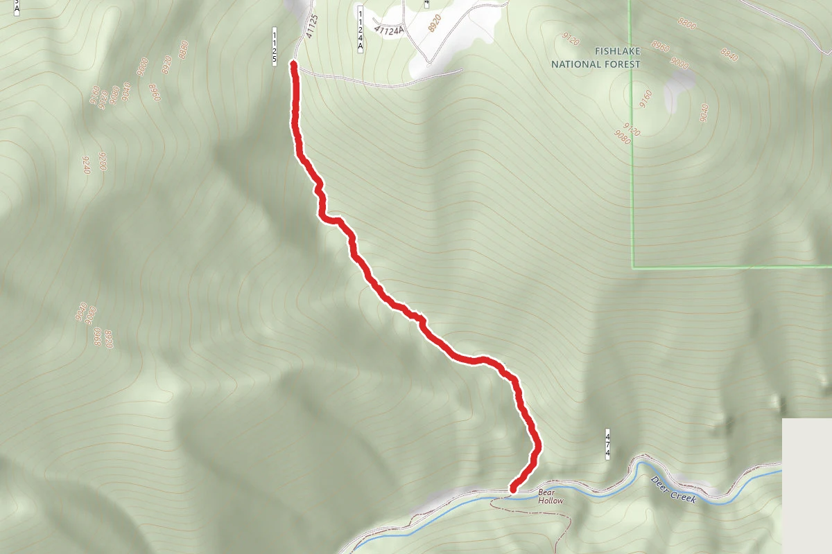 Sargent Mtn. - Bear Hollow