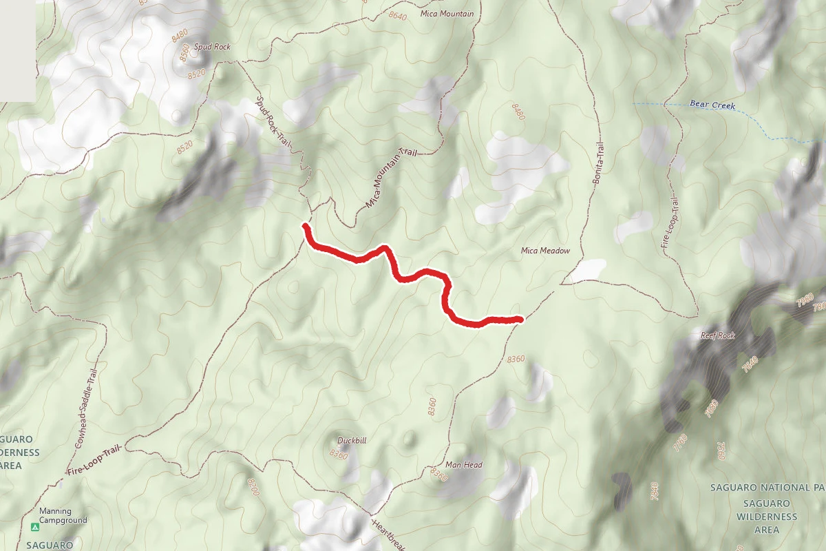 Mica Meadow Trail