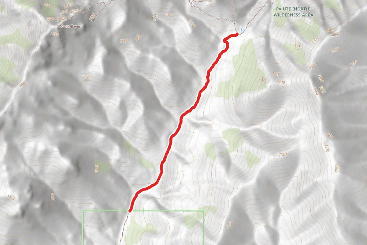 Paiute Trails