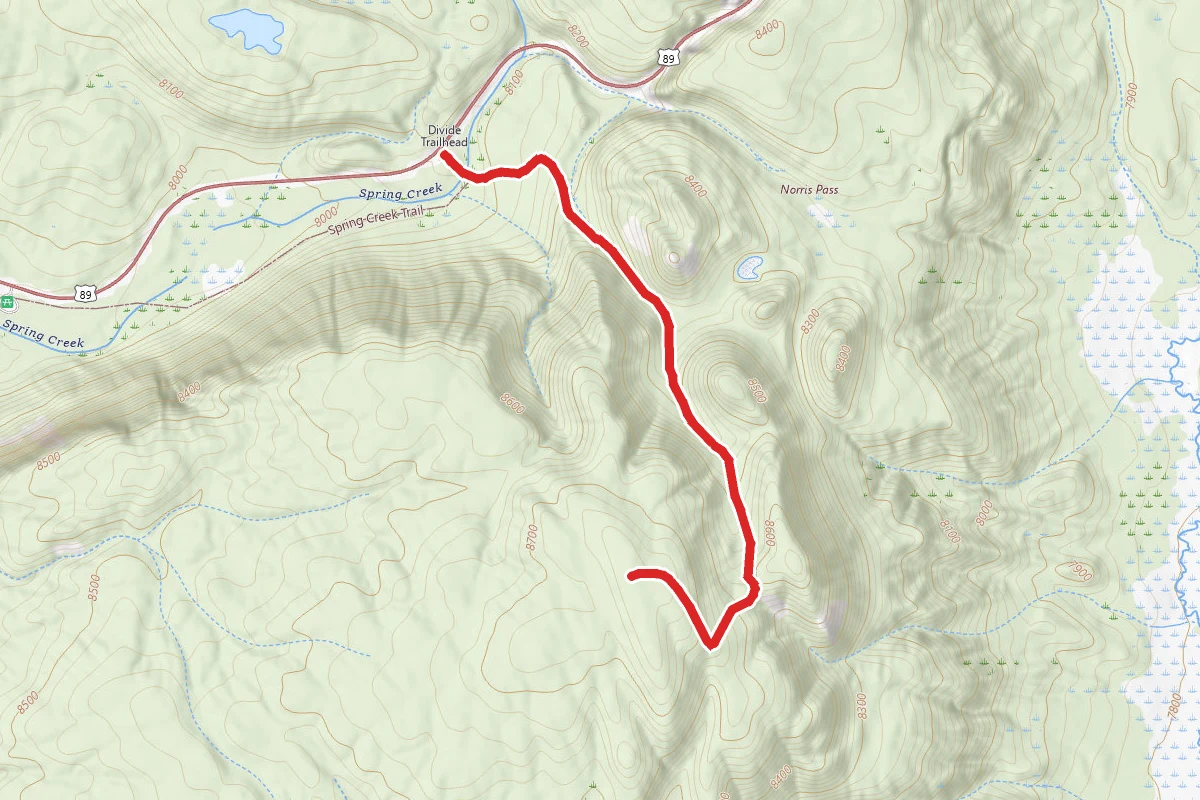 Divide Trail