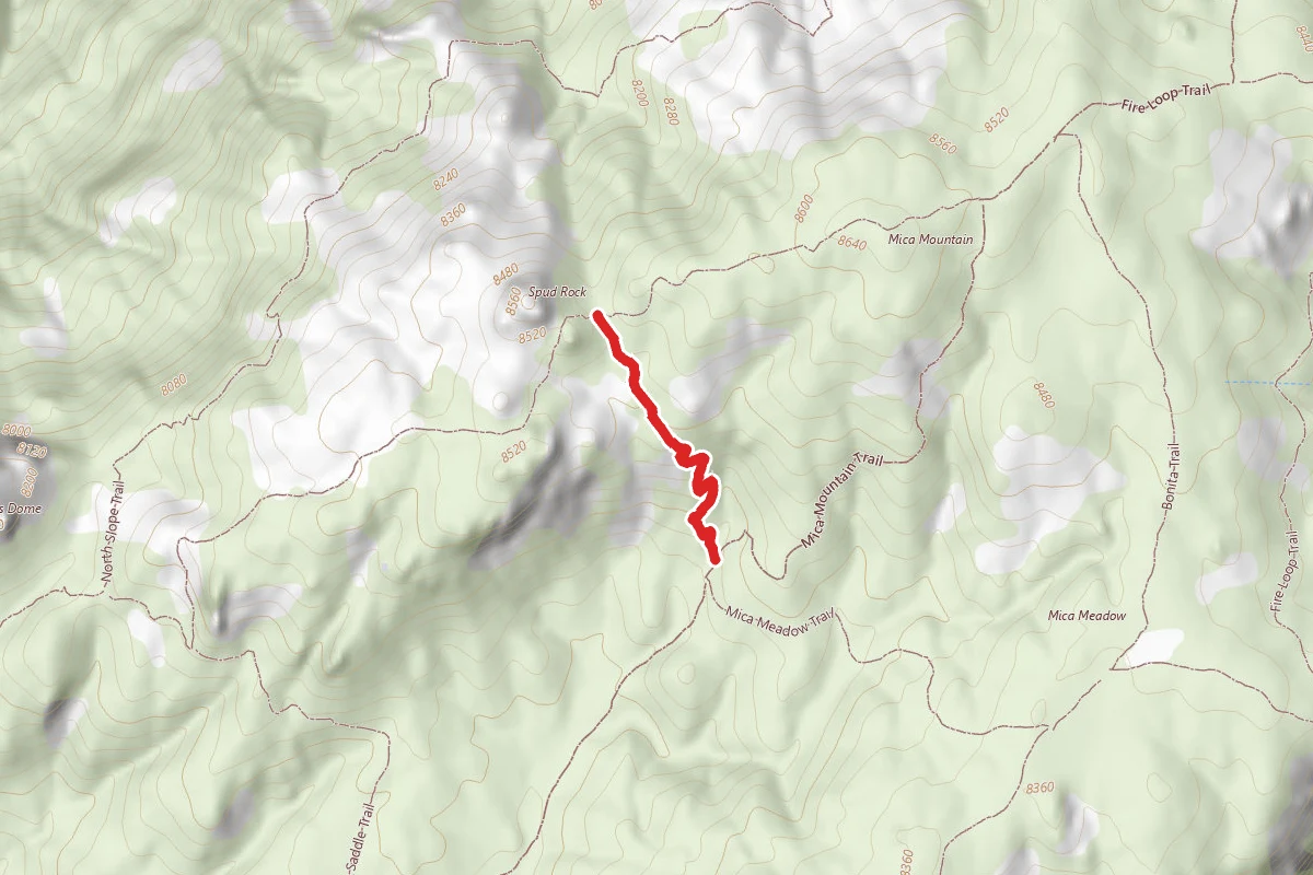 Spud Rock Trail