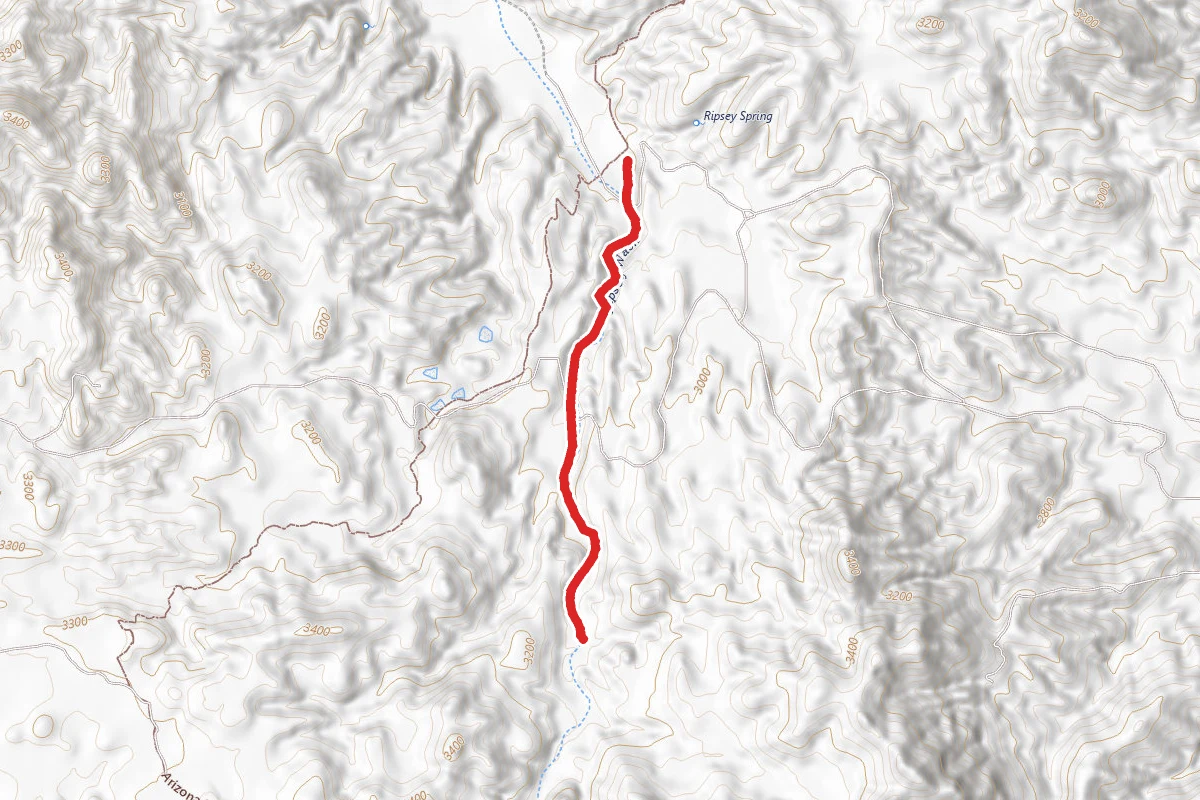Ripsey Wash