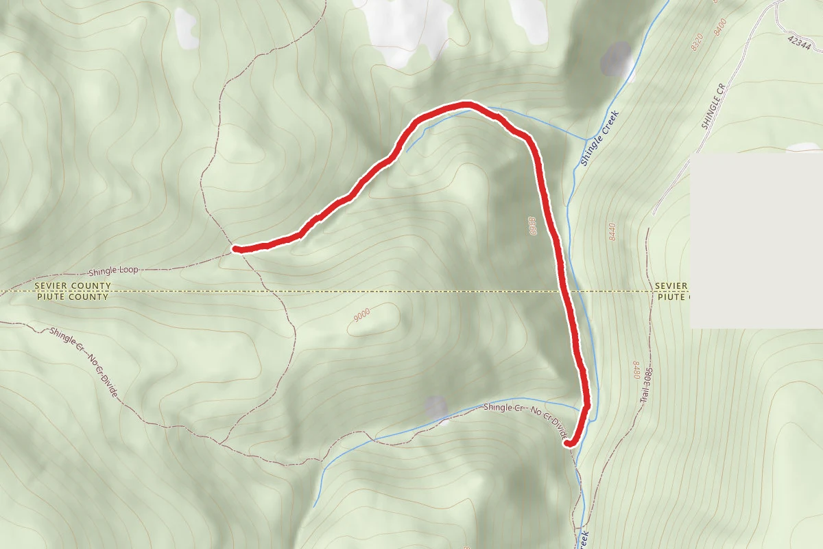 Shingle Loop