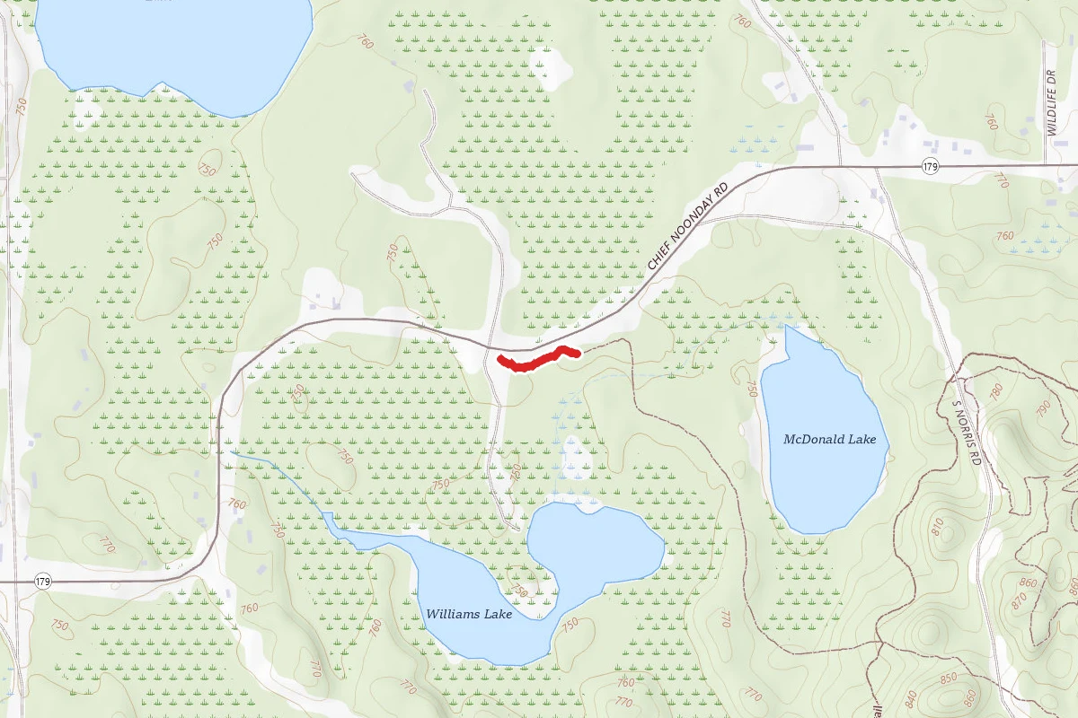Yankee Springs Rec. Area - Chief Noonday Trail