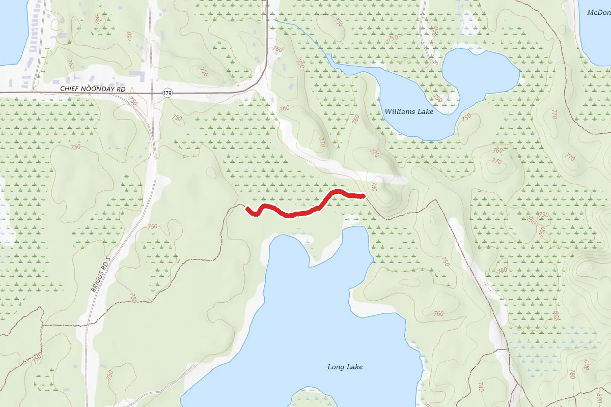 Yankee Springs Rec. Area - Long Lake Trail
