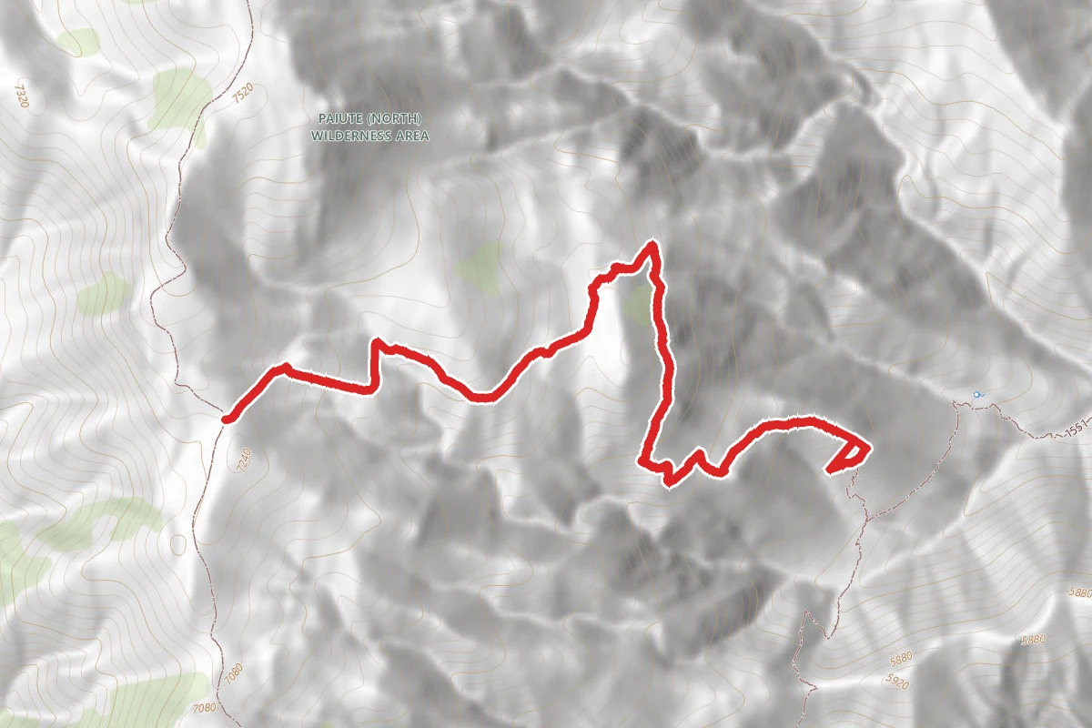 Paiute Trails