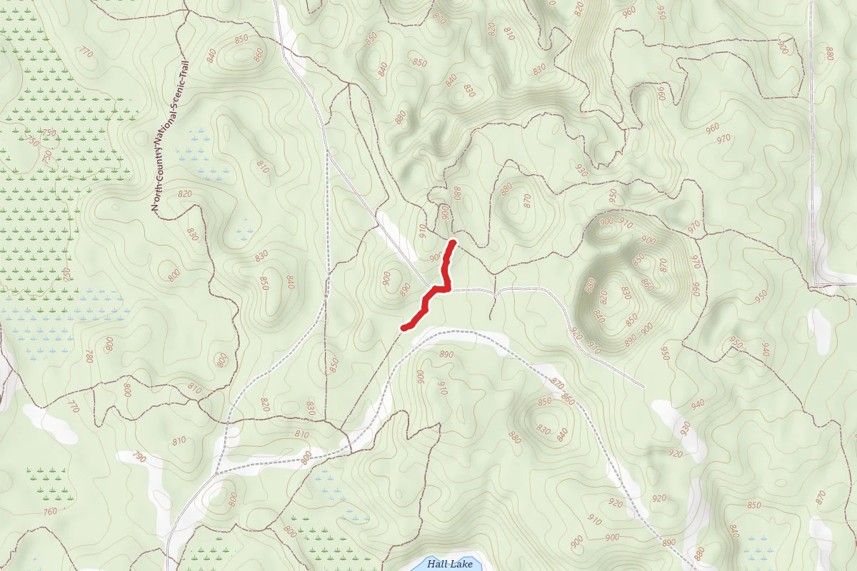 Yankee Springs Rec. Area - Hiking Trail