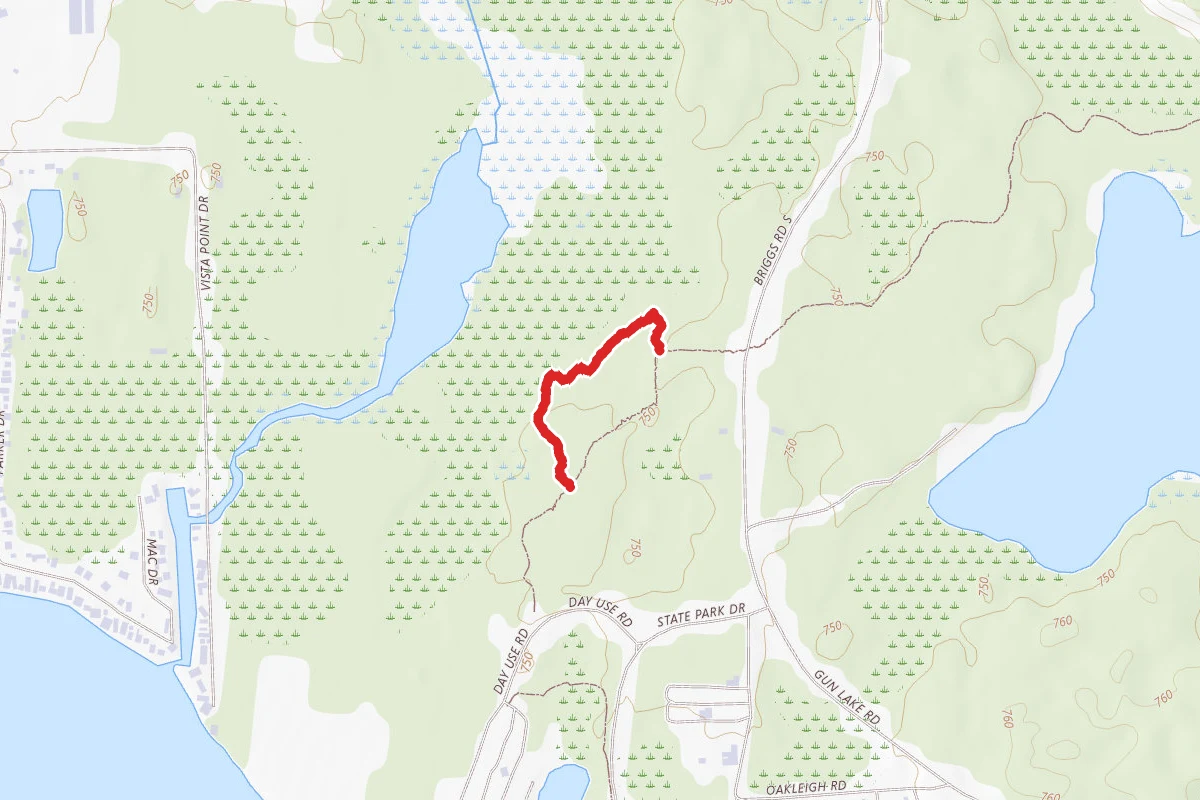 Yankee Springs Rec. Area - Sassafras Nature Trail