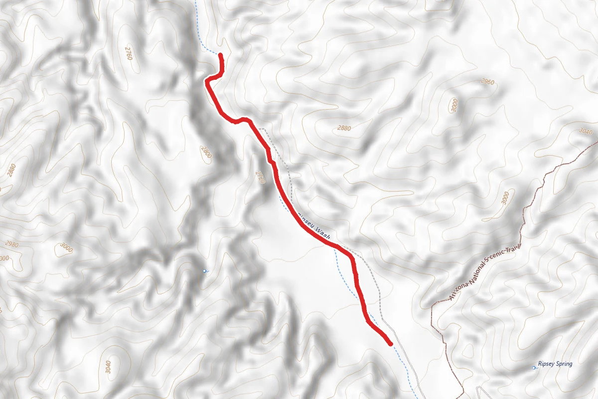 Ripsey Wash