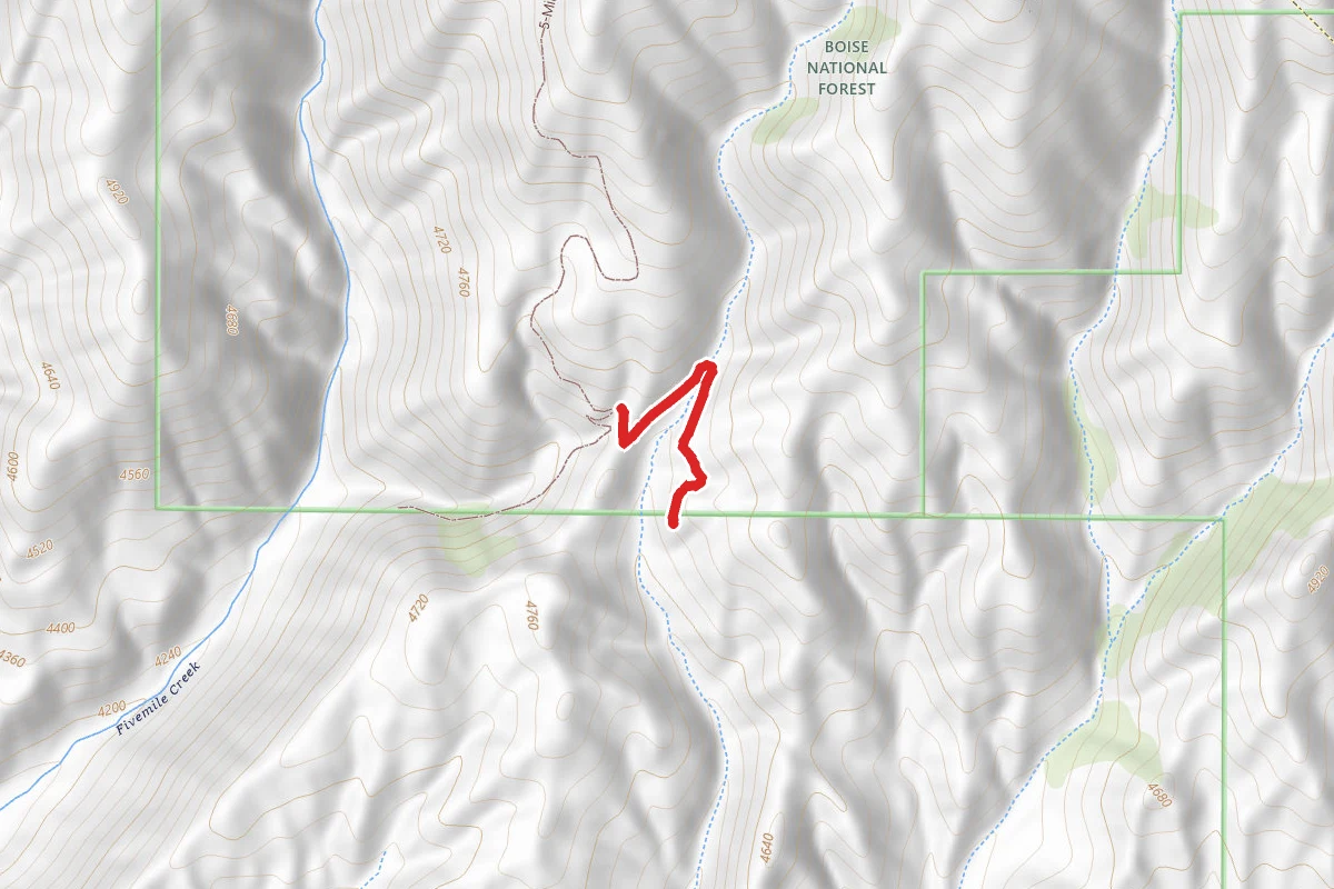 Orchard Gulch