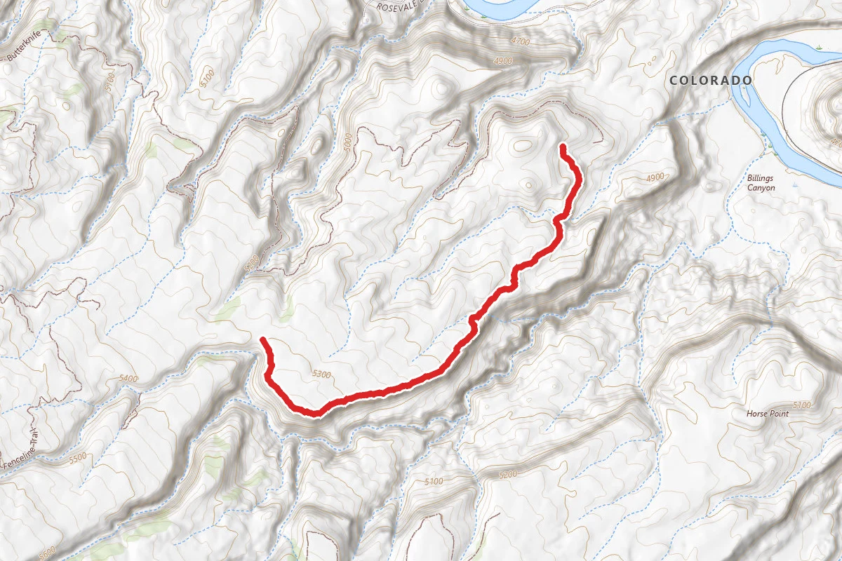 Art Cook's View Trail