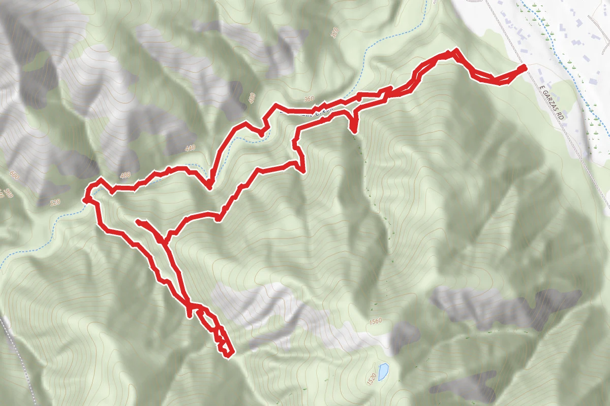 Redwood Canyon Trail