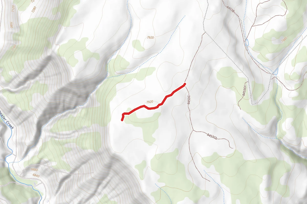 Blm Route 8453Ca