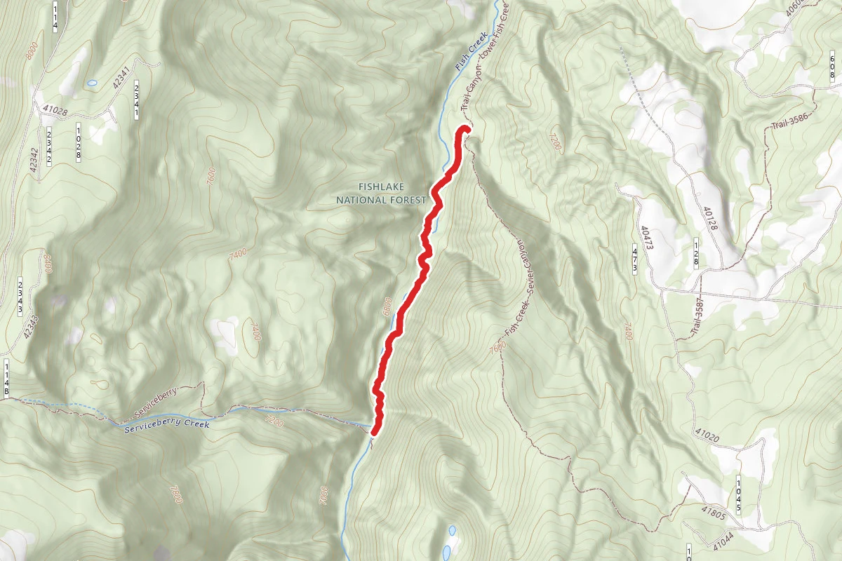 Trail Canyon - Lower Fish Cree