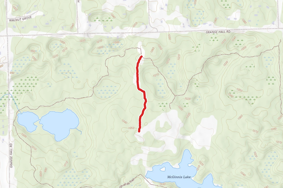 Holly Rec. Area - Yellow Trail