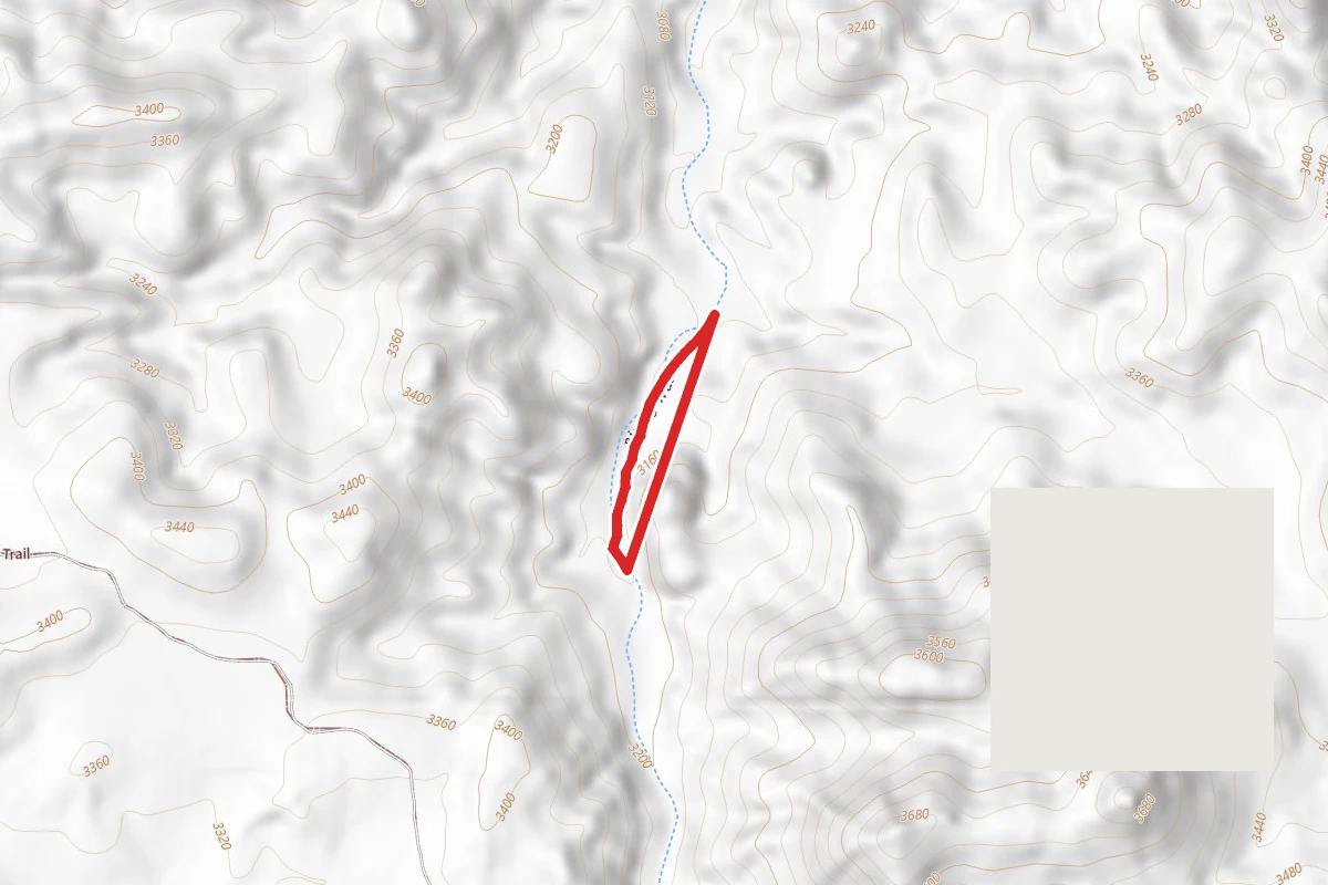 Ripsey Wash