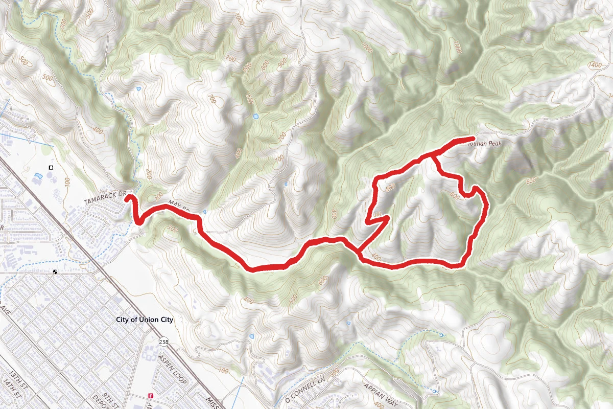 Tolman Peak Trail