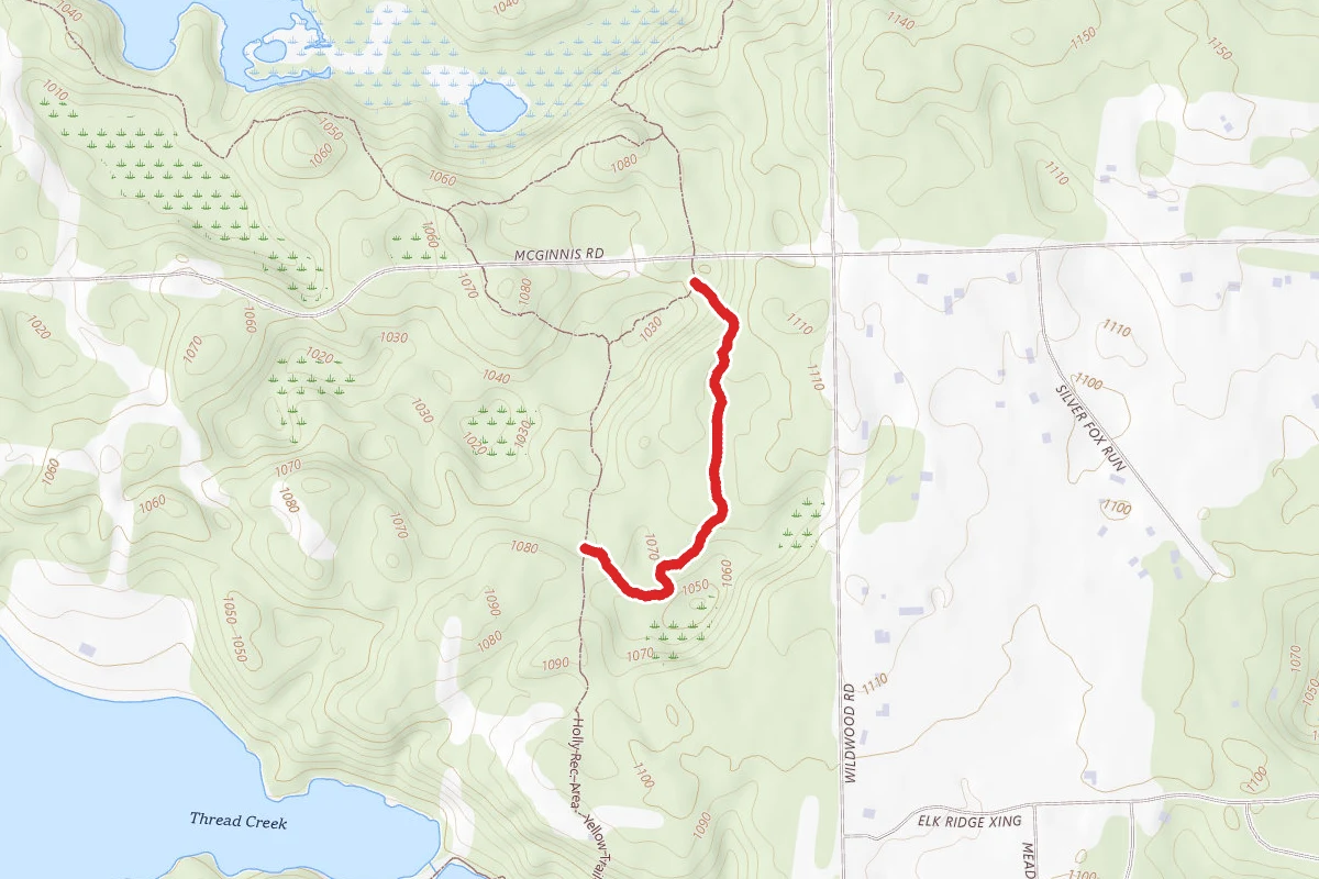 Holly Rec. Area - Yellow Trail