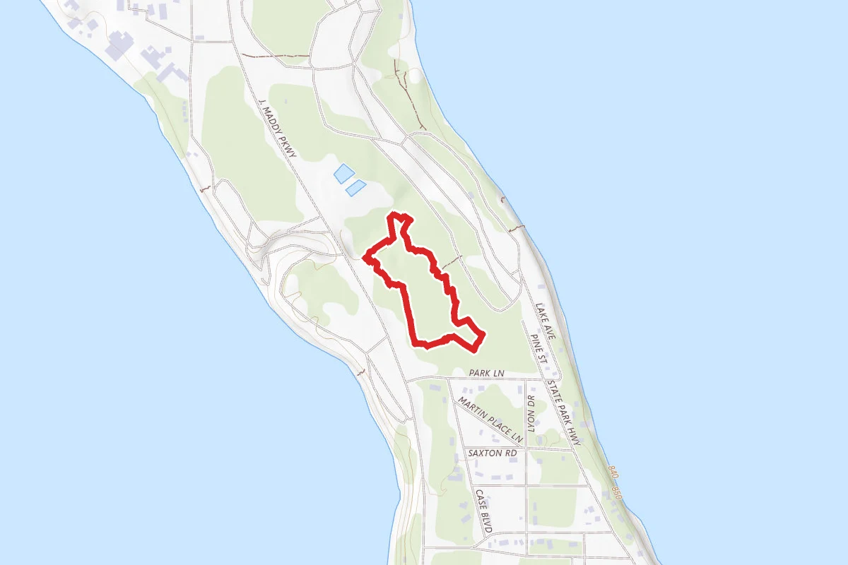 Interlochen State Park - Pines Nature Trail