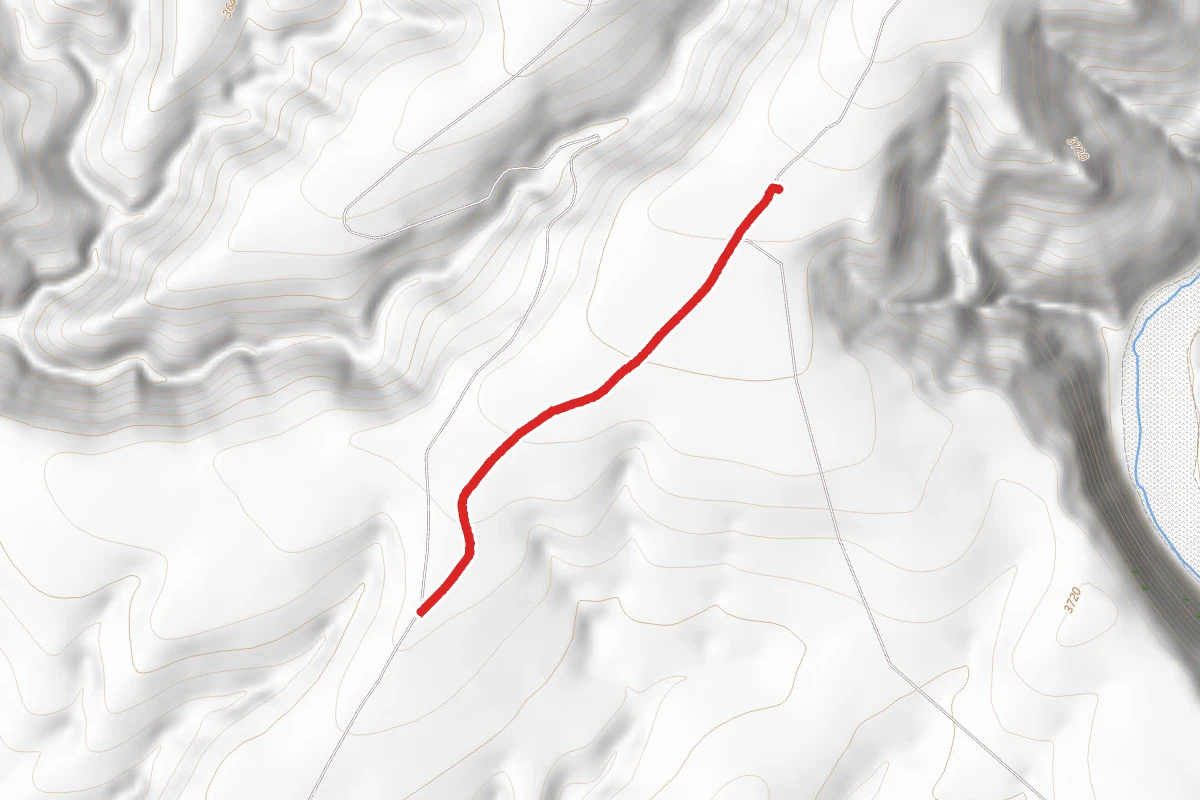 Bull Gap Road