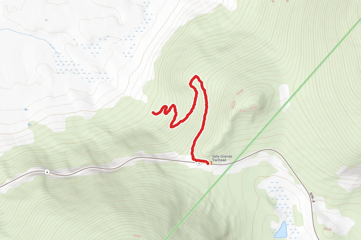 Valle Grande Trail
