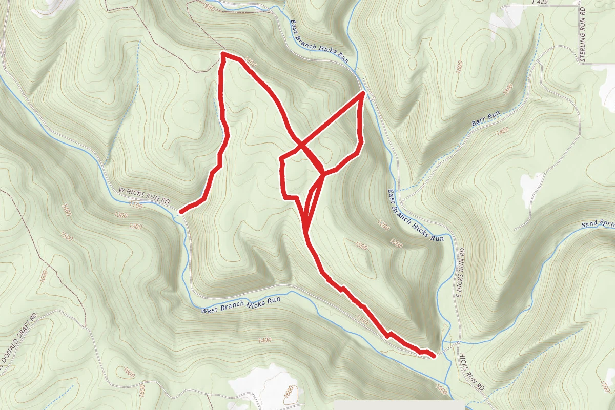 Pine Tree Trail