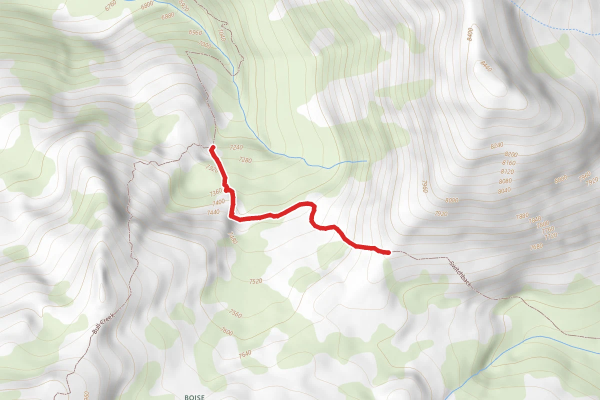 Switchback
