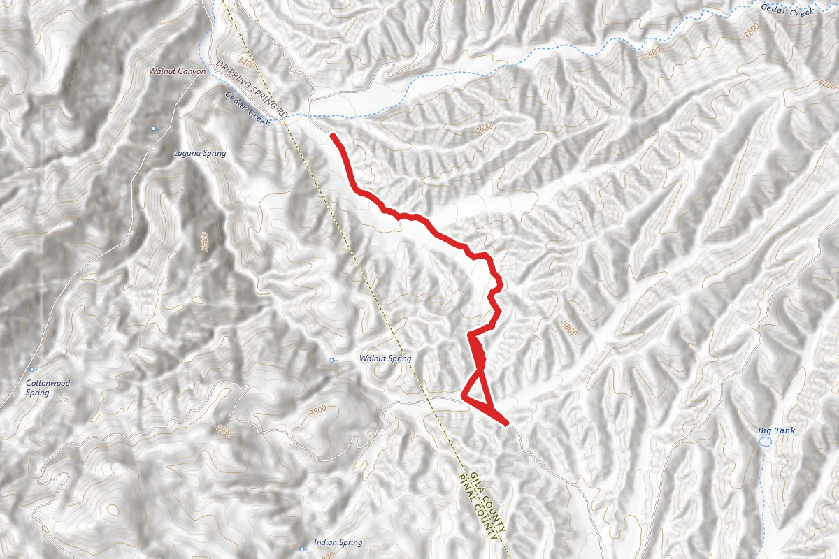 Dripping Springs Road