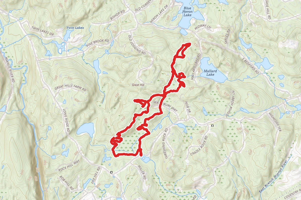 Westchester Wilderness Trail