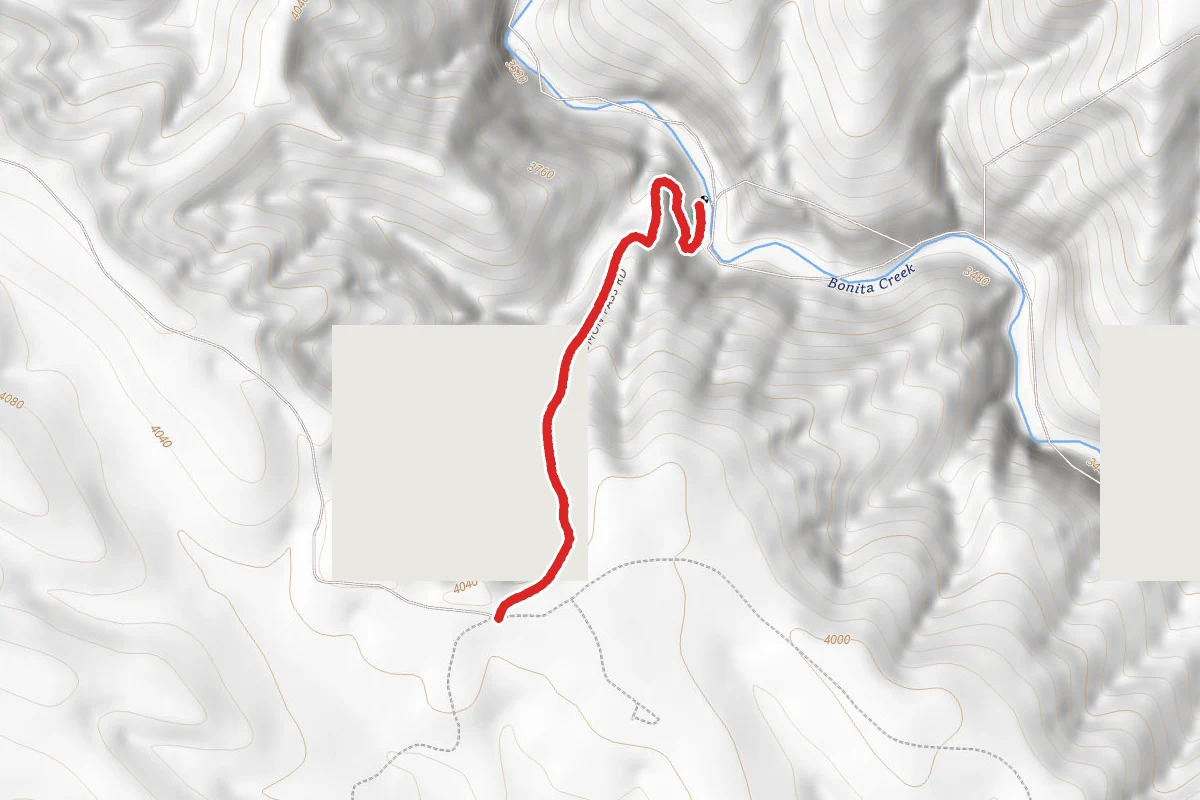 Lee Trail Road