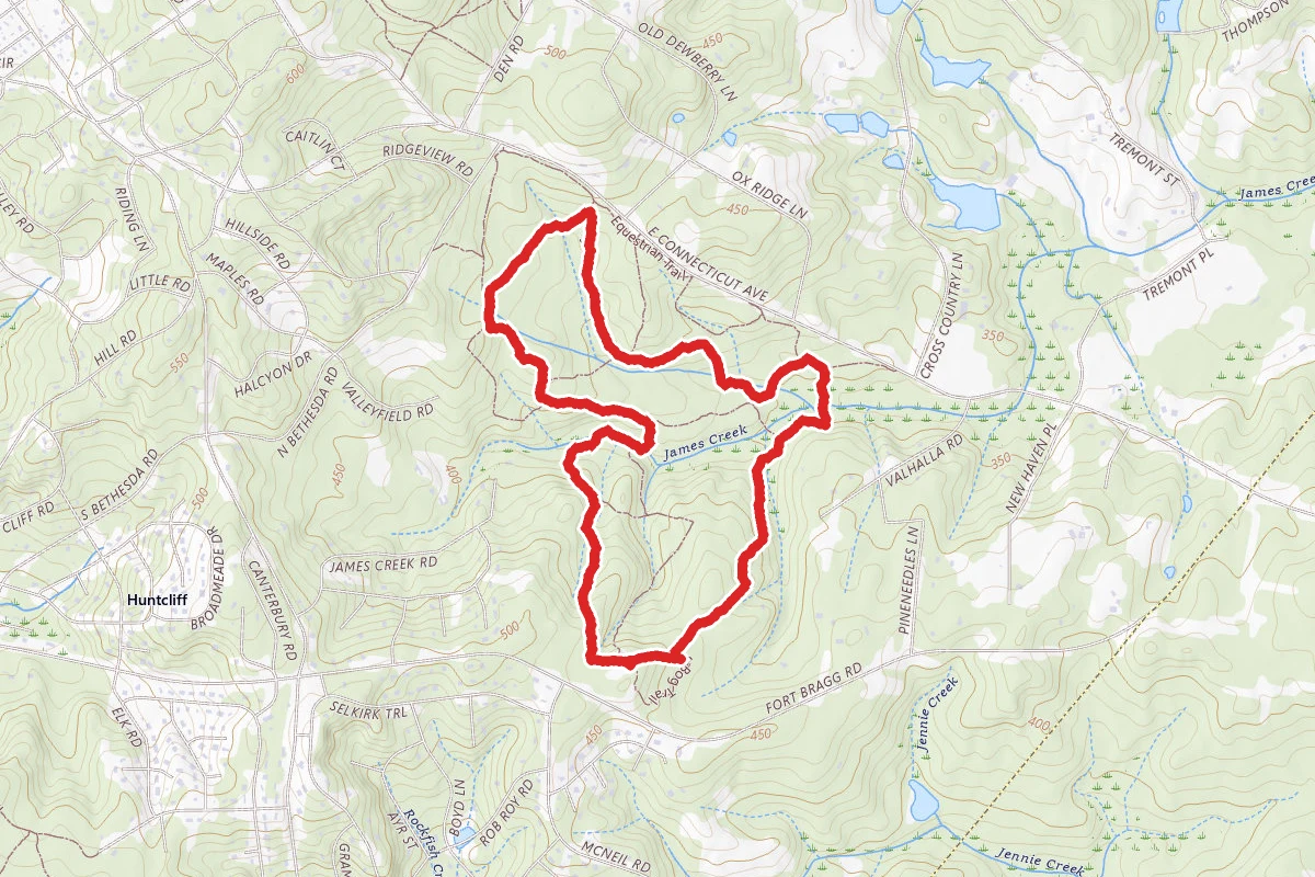 Lighter Swamp, Pine Island, Holly Road, Gum Swamp, Pine Barrens Loop