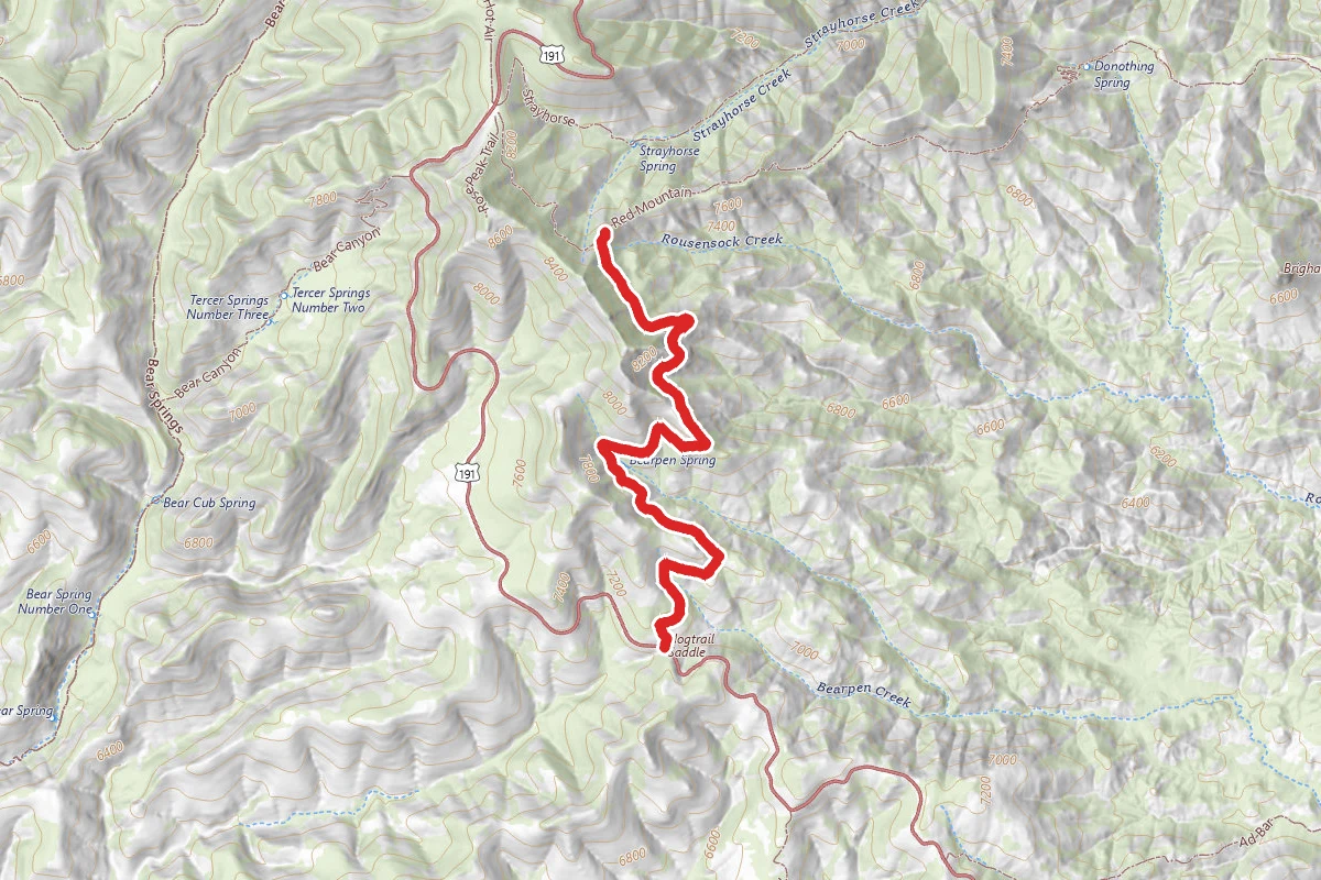 Bear Pen Springs