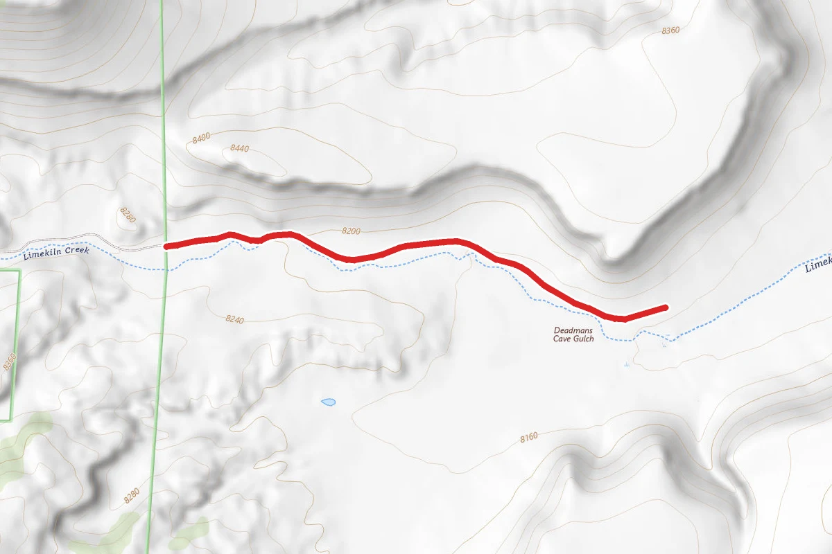 Dog Mountain Road