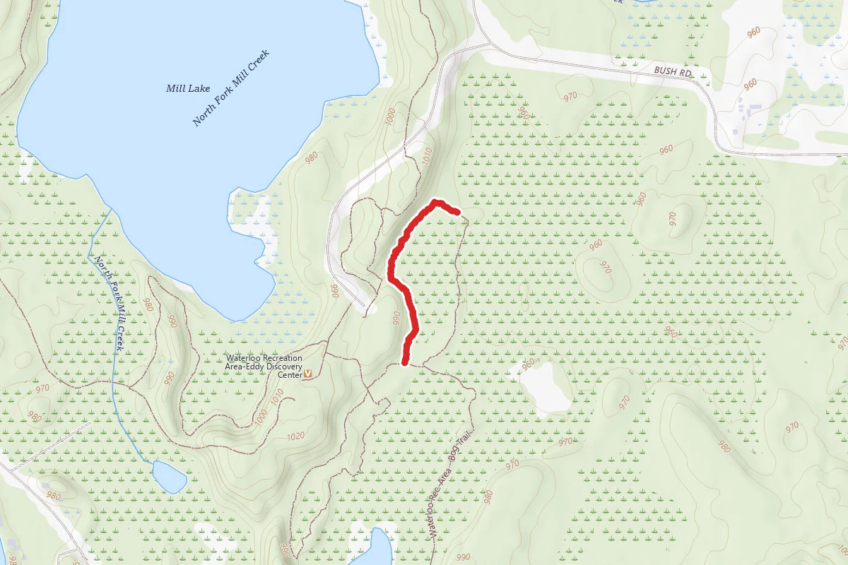Waterloo Rec. Area - Lowland Woods Trail