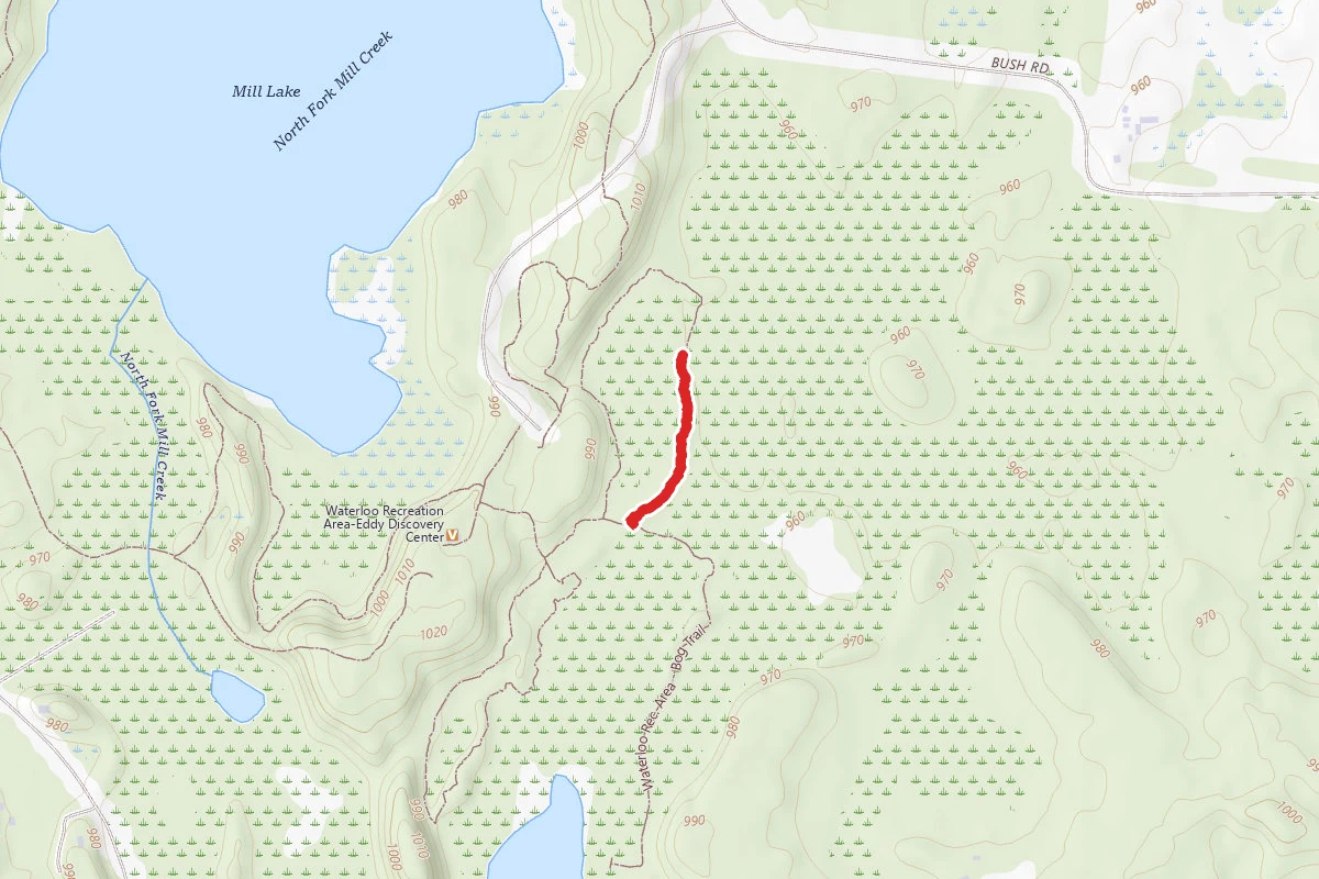 Waterloo Rec. Area - Lowland Woods Trail