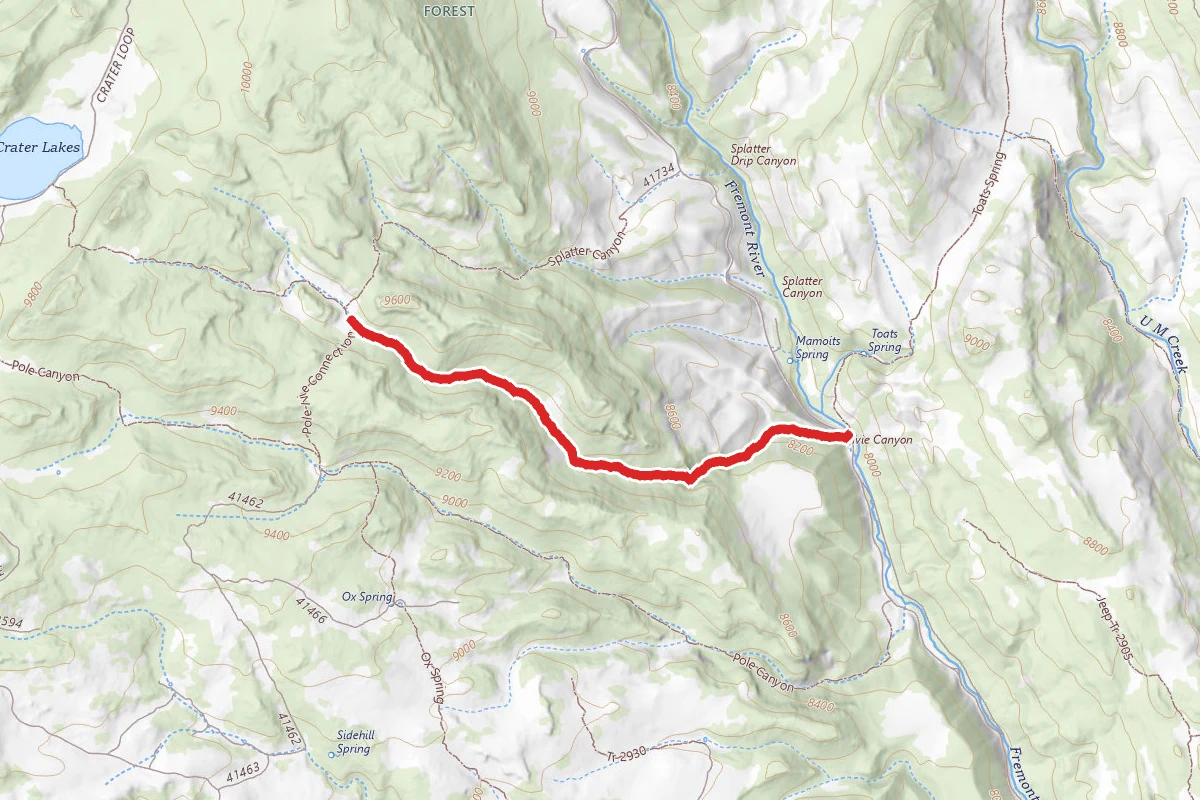 Ivie Canyon (366)