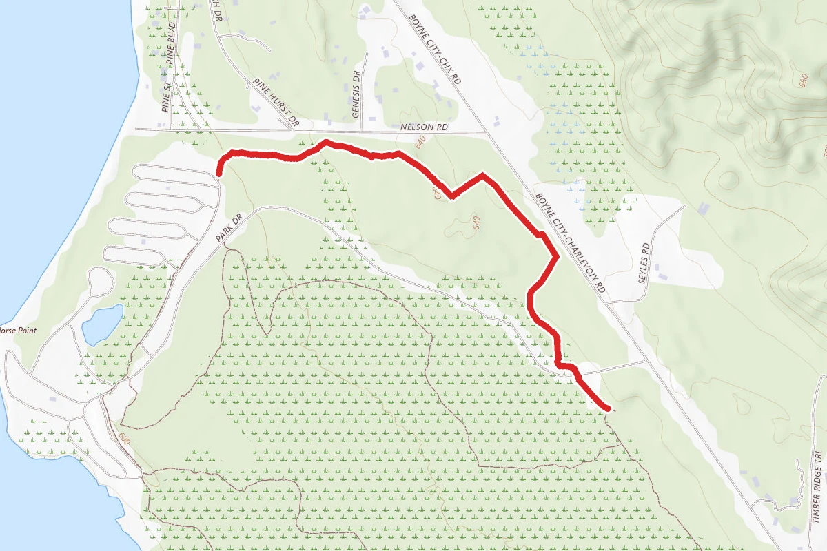 Young State Park - Spruce Trail
