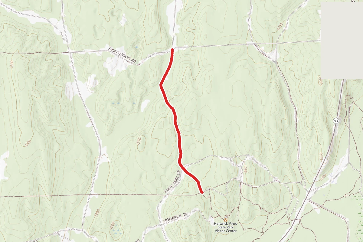 Hartwick Pines State Park - Aspen Trail
