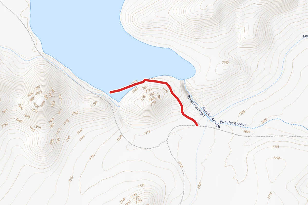 Cove Knob Road