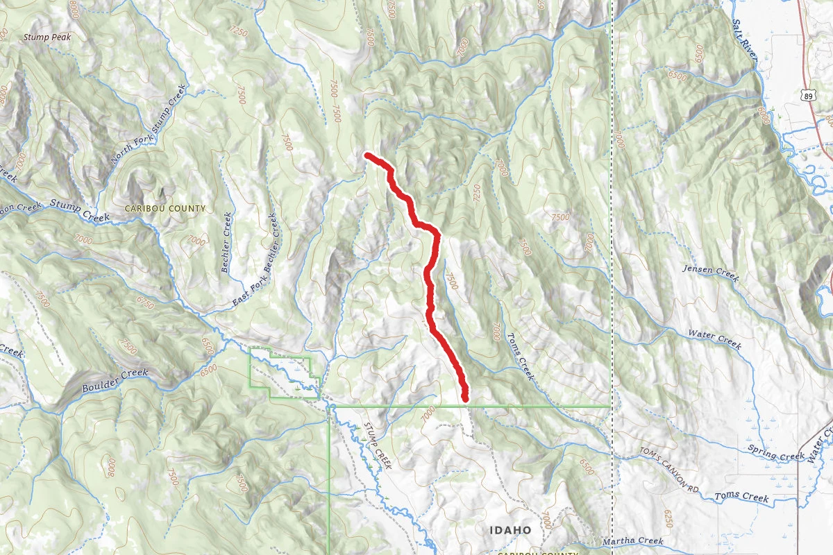 West Fork Toms Canyon