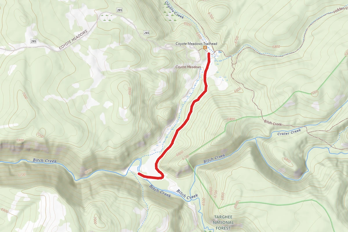 Coyote Trail