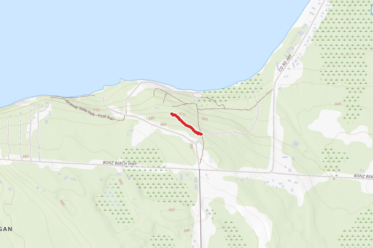 Onaway State Park - Foot Trail