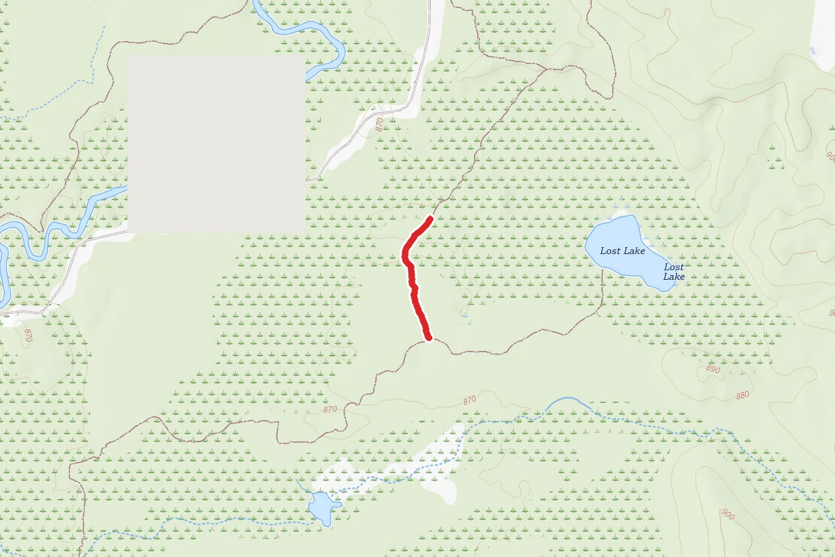 Rifle River Rec. Area - Hiking and Mountain Biking and Ski Trail